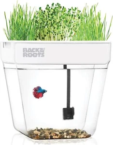 Indoor Aquaponic Garden 3 Gallon Self Watering Fishtank for Succulents &plants - Picture 1 of 6