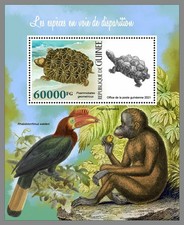 GUINEA REP. 2021 ** Schildkröte Turtles Gefährdete Tiere #31-316bB
