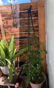 Garden Trellis for Climbing Plants 63" Tall Plants Trellis Support W/ Adjustable - Picture 1 of 8