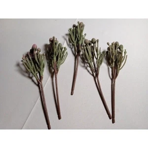 Hobby Lobby Desert Plant Finto Floreale Picks Lotto di 5 -Nuovi senza etichette - Foto 1 di 3