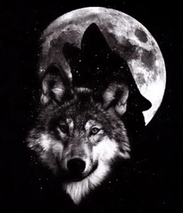 TEE SHIRT HAUTE QUALITE . LOUP  LUNE  :  S  M  L  XL  XXL  XXXL  XXXXL + ENF - Picture 1 of 1