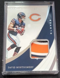 DAVID MONTGOMERY 2019 IMMACULATE ROOKIE RC PATCH GLOVE #1/5 !!π₯π₯ DETROIT LIONS - Picture 1 of 3