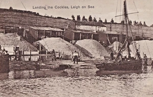 EKM 1930 Postkarte, Landung der Herzmuscheln, Leigh on Sea, Southend on Sea, Essex - Bild 1 von 1