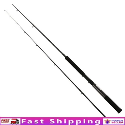 10ft Crappie Hunter Spinning Fishing Rod 2-Piece IM-6 Graphite Durable Gear New - Image 1 of 4