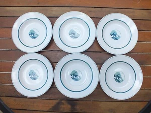 6 assiettes creuses vintage Sarreguemines service Arlette - Imagen 1 de 5