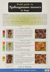Field Guide to Sphagnum Mosses in Bogs (Chart) by Tratt, Ros, O'Reilly, Claire, 