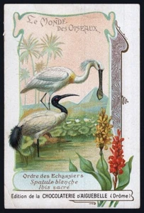 TC0295 Trade Card: Chocolaterie d'Aiguebelle - Le Monde des Oiseaux - Bild 1 von 2