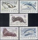 Russie 1971 Dauphins/Phoques/Loutre/Morse/Narval/Marine/Animaux Lot 5 V (ru1161)