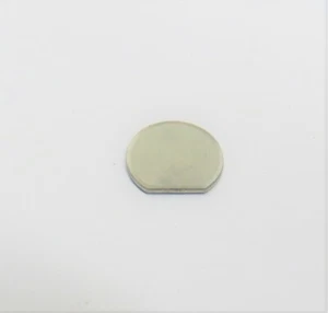 Check Valve Plate - Picture 1 of 1