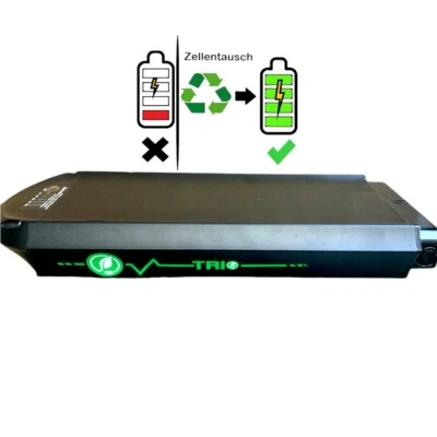Zellentausch Trio Li Ion Gepäckträger Akku 36V 10Ah 11Ah 14Ah
