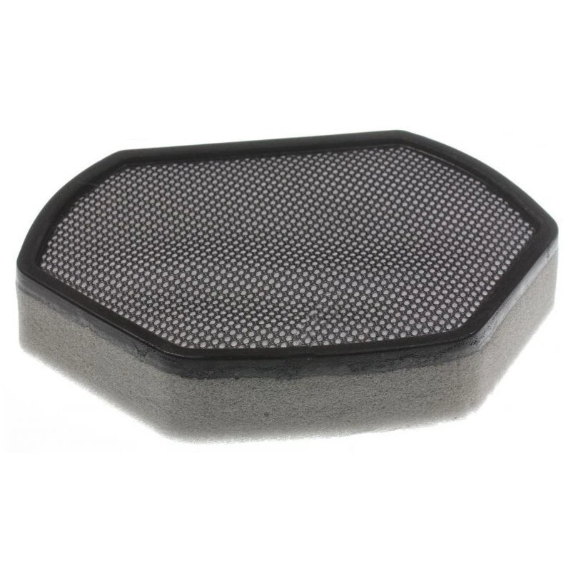 BOSCH GROUPE Filtre mousse 12012937 pour Aspirateur BOSCH, SIEMENS