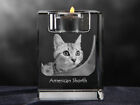 American Shorhair, Crystal Candlestick With Cat, Souvenir, Crystal Animals Ca