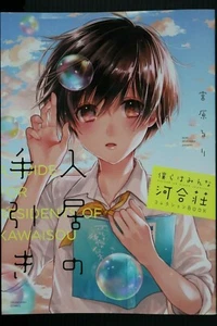 JAPAN The Kawai Complex Guide to Manors and Hostel Behavior Collection Book - Picture 1 of 12