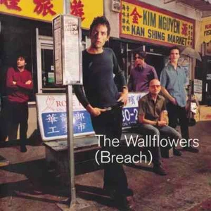 2xCD The Wallflowers (Breach) Interscope - Bild 1 von 1