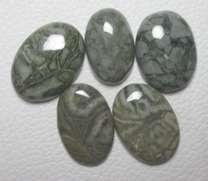 Green howlite Cabochon Oval Shape 5 pcs Lot 113.15 ct Natural Gemstone H 7129 - Picture 1 of 5