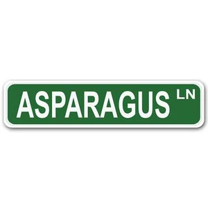 Asparagus Lane 4" x 17" Aluminum Street Sign - Picture 1 of 1