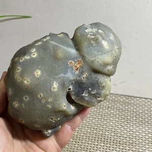 Bonsai Suiseki Naturale 663g - Pietra Occhi Agata Gobi Naturale - Raro Splendido - Foto 1 di 12