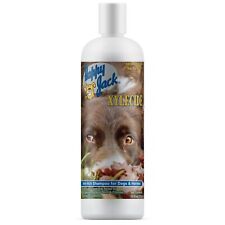 Happy Jack Xylecide, Itch Relief Shampoo for Dogs, Itchy Skin Treatment  (12 oz)
