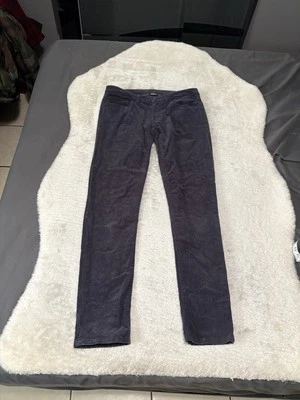 Patagonia Pants Womens 32x32 Blue Corduroy Skinny Organic Cotton Casual - Image 1 of 4
