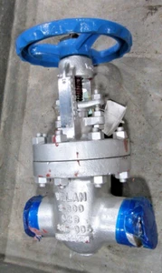 đ„ NUEVA VĂLVULA VELAN 2" 300 VĂLVULA DE COMPUERTA DE ACERO SOLDADA A TOPE SCH 40 B08-1064C-02TY - Imagen 1 de 21
