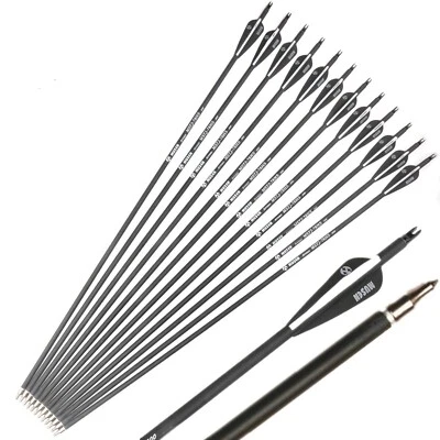 32" Archery Carbon Arrows SP500 Removable Tips for Recurve&Compound Bow Target - Image 1 of 4