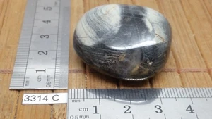 JASPE FEUILLE D'ARGENT pierre roulee TOP mineraux lithotherapie reiki collection - Picture 1 of 2