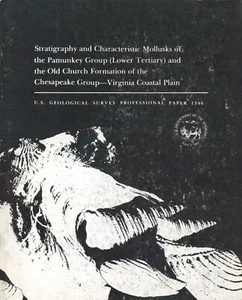 Mollusks of the Pamunkey Group and Old Church Formation Virginia Coastal Plain - Picture 1 of 2