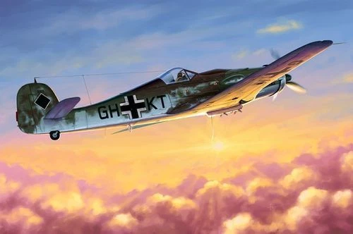 HOBBYBOSS FOCKE WULF FW 190D-10  1:48 COD.81717 - Immagine 1 di 1