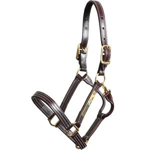 Halter británico Walsh - Imagen 1 de 5