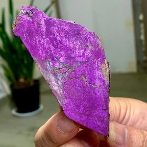 45G Namibia naturale metallizzato viola scuro viola viola pezzo grezzo raro esemplare - Foto 1 di 15