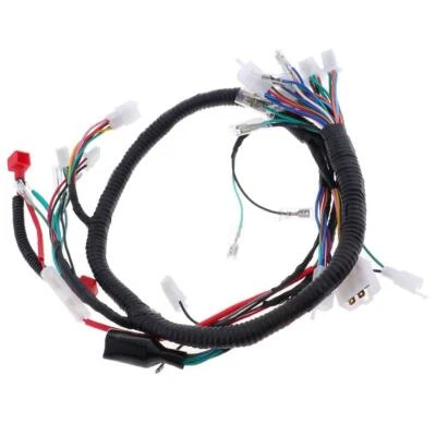 Complete Electrics All Wiring Harness Assembly for Motorbike - Image 1 of 4