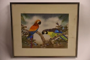 Vintage Brazilian Mixed Media Macaw Art - Picture 1 of 7