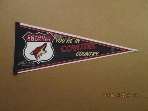 NHL Phoenix Coyotes Vintage You're In Coyotes Country Team Logo Hockey Pennant Cover