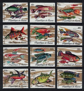 Guinea Fish 12v 1971 MNH SG#729-740 MI#571-582A Sc#570-581 - Picture 1 of 1