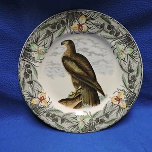 John James Audubon Birds of America Adams Hand Colored Plate Washington Eagle - Picture 1 of 9