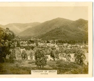 1925 W.D. & H.O WILLS - AUSTRALIAN SCENIC SERIES NO. 42 Township of Bright - Vic - Picture 1 of 2