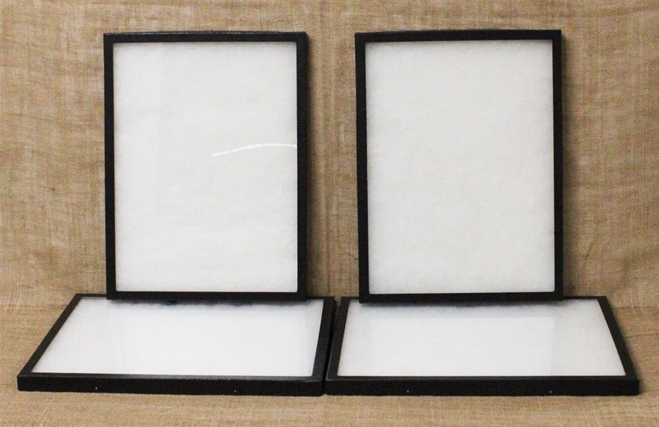 Collector's Display Case: 12 x 16 x 3/4" (Riker Type) - Package of 4 - Image 1 of 1