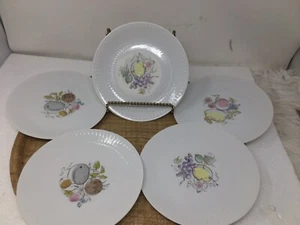 5 Vtg Hutschenreuther Bavaria Pasco  Fruit Design Salad Dessert Plates MCM - Bild 1 von 11