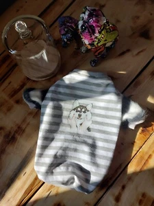 Kleiner Hundepullover mit Aufdruck, Hundesweatshirt, Haustierkleidung - Bild 1 von 14