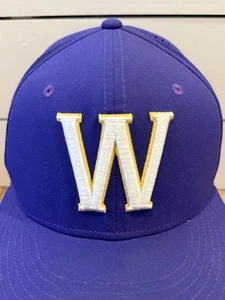 Washington Huskies Nike True Baseball Fitted Hat Elastic S/M UDub - Picture 1 of 9