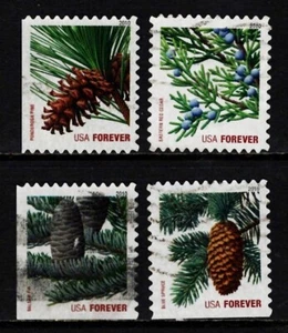 OFF paper 4482-85 Holiday Evergreens-ATM (used set of 4)Forever 2010 _n480 - Picture 1 of 1