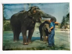 Elefanten mit Trainer Lentikular Postkarte 3D Zürich UNP - Bild 1 von 3