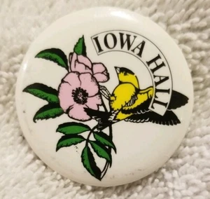 Botón Pinback Iowa Hall - Imagen 1 de 2