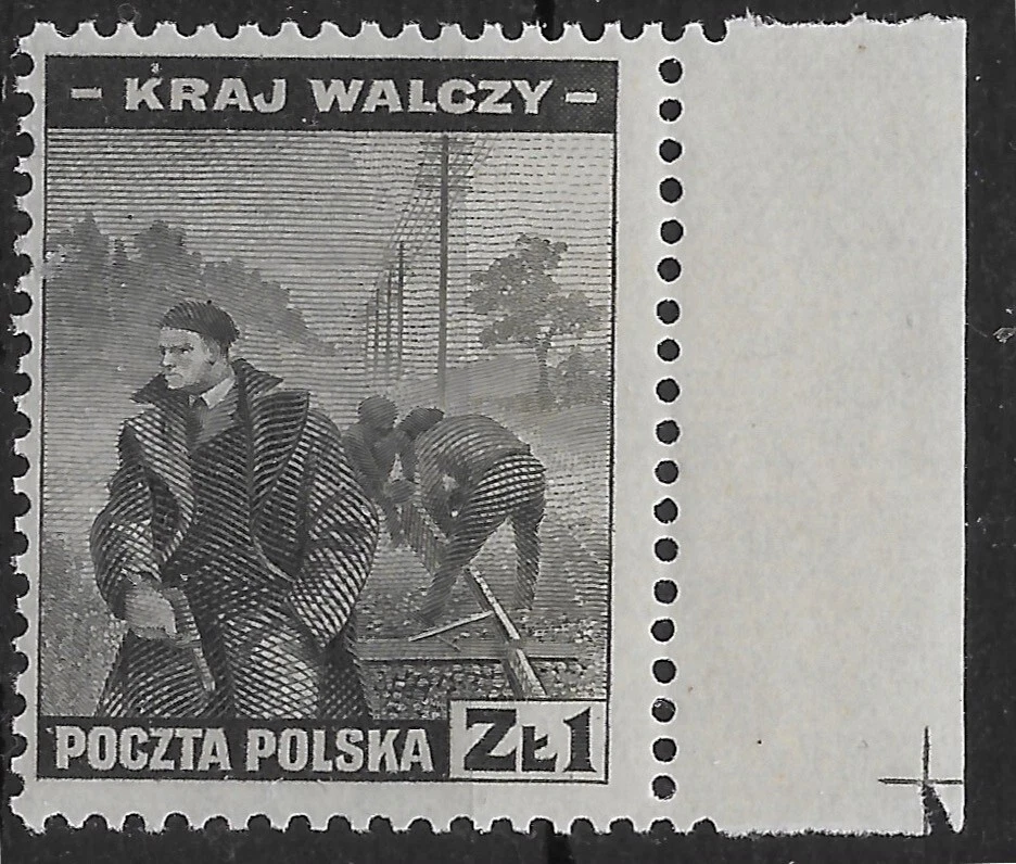 1943 Segunda Guerra Mundial Gobierno de Polonia Exilio Londres Resistencia Nazi en casa S#3K15 MNH** Foto 1 de 1