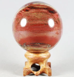 A 264g PETRIFIED WOOD AGATE Crystal With Rose Wood Stand From Madagascar - Picture 1 of 12
