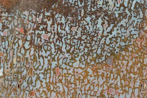 Pastel Blue Agatized Dinosaur Bone Slab Utah 95 grams  - Picture 1 of 5