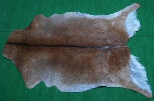Neu Ziegenfell Teppich Haar auf Fläche Teppich Größe 38"x24" Tierleder Ziegenfell SA-800 - Bild 1 von 3