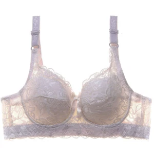 Women Bras Push Up Bras Underwire Brassiere Lace Sissy Sexy Lingerie AAA AA ABCD - Picture 1 of 21