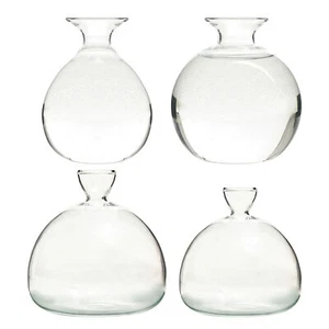 Glass Plant Vase Elegant Tree Growing Vase Seed cultivation container gardening - Picture 1 of 16