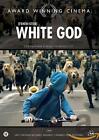 White God Dvd